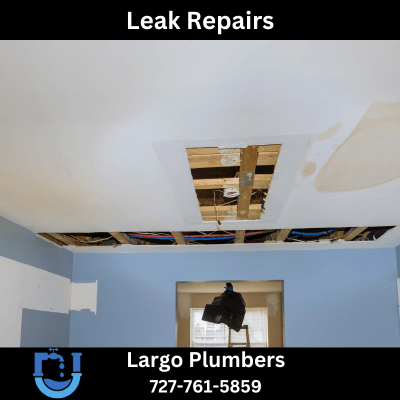 Leak Detection Services Largo: Unveiling the Ultimate Solution for Your Leaky Pipes!